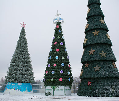 Каркасные ёлки в Петрозаводске